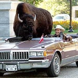 Meet your Posher, Joel